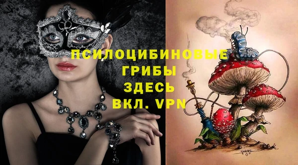 ешки Михайлов