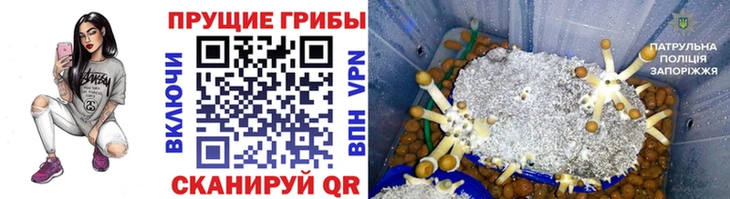 Галлюциногенные грибы Cubensis  ссылка на мегу рабочий сайт  Тюмень 